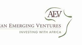 https://flaia-cms-assets.s3.amazonaws.com/African_Emerging_Ventures_877e7624ab.png