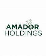 https://flaia-cms-assets.s3.amazonaws.com/Amador_Holdings_e131f59146.png