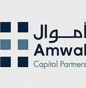 https://flaia-cms-assets.s3.amazonaws.com/Amwal_bb160e5a96.png