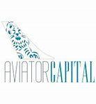 https://flaia-cms-assets.s3.amazonaws.com/Aviator_Capital_bdab6c2c83.png
