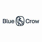 https://flaia-cms-assets.s3.amazonaws.com/Blue_Crow_Capital_49956d01d1.png