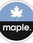 https://flaia-cms-assets.s3.amazonaws.com/Blue_Maple_Investment_a7ab591d7a.png
