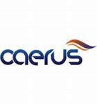 https://flaia-cms-assets.s3.amazonaws.com/Caerus_Group_9ef34bfb05.png