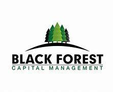 https://flaia-cms-assets.s3.amazonaws.com/Dark_Forest_Capital_Management_9a2e13aa68.png
