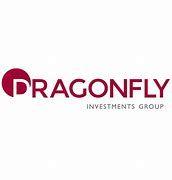 https://flaia-cms-assets.s3.amazonaws.com/Dragonfly_Investments_095f1d0783.png