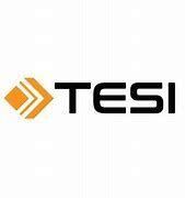 https://flaia-cms-assets.s3.amazonaws.com/Finnish_Industry_Investment_Tesi_58e26b1a4e.png