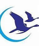 https://flaia-cms-assets.s3.amazonaws.com/GOOSE_Capital_3b69f003b2.png