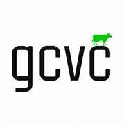 https://flaia-cms-assets.s3.amazonaws.com/Green_Cow_Venture_Capital_de03fc378f.png