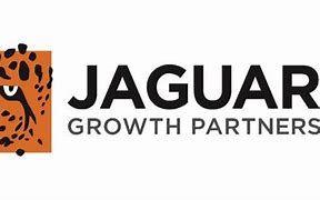 https://flaia-cms-assets.s3.amazonaws.com/Jaguar_Growth_Partners_ac5dbb3b9e.png