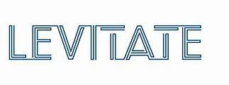 https://flaia-cms-assets.s3.amazonaws.com/Levitate_Capital_267d49e2e0.png