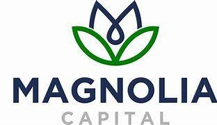 https://flaia-cms-assets.s3.amazonaws.com/Magnolia_Capital_c701a5a8da.png