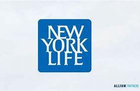 https://flaia-cms-assets.s3.amazonaws.com/New_York_Life_Real_Estate_Investors_1b0f85447a.png