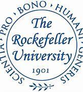 https://flaia-cms-assets.s3.amazonaws.com/Rockefeller_University_Endowment_011ad6cc16.png
