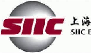 https://flaia-cms-assets.s3.amazonaws.com/SIIC_CGP_S_Fund_07b5f3c479.png