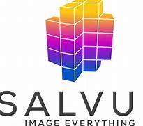 https://flaia-cms-assets.s3.amazonaws.com/Salvus_Capital_Management_99534c8f24.png