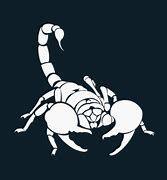 https://flaia-cms-assets.s3.amazonaws.com/Scorpio_VC_34bcb158aa.png