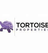 https://flaia-cms-assets.s3.amazonaws.com/Tortoise_Properties_5e98f827eb.png