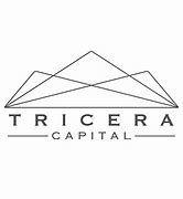 https://flaia-cms-assets.s3.amazonaws.com/Tricera_Capital_56cfc5b4c3.png