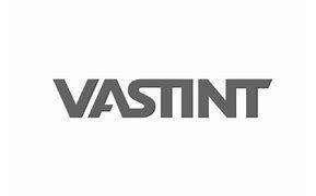 https://flaia-cms-assets.s3.amazonaws.com/Vastint_d7903667b7.png