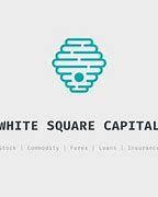 https://flaia-cms-assets.s3.amazonaws.com/White_Square_Capital_519e2ded50.png