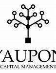 https://flaia-cms-assets.s3.amazonaws.com/Yaupon_Capital_Management_bfbbde447d.png