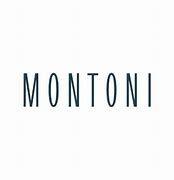 https://flaia-cms-assets.s3.amazonaws.com/MONTONI_e831e28752.png